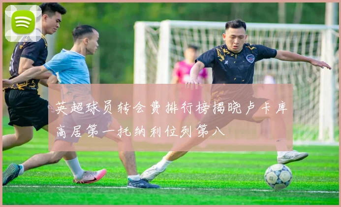 英超球员转会费排行榜揭晓卢卡库高居第一托纳利位列第八